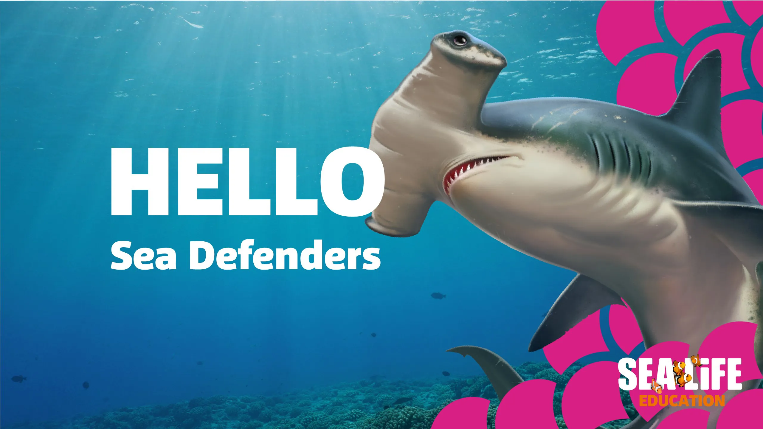 Sea Defenders Asset (1)