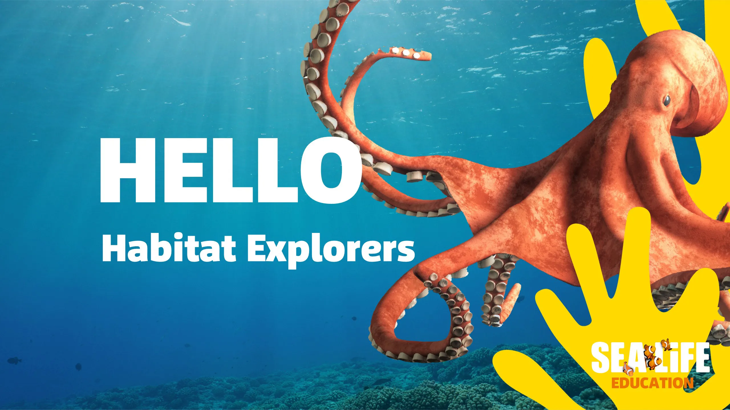 Habitat Explorers Asset