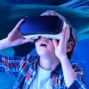 Virtual Reality Experience | SEA LIFE Aquarium Orlando