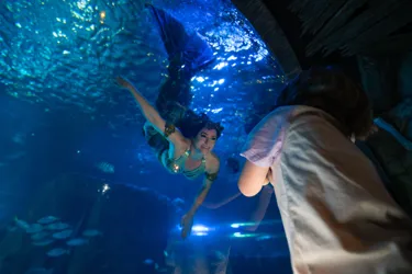 Vayna Dive With Child (2)